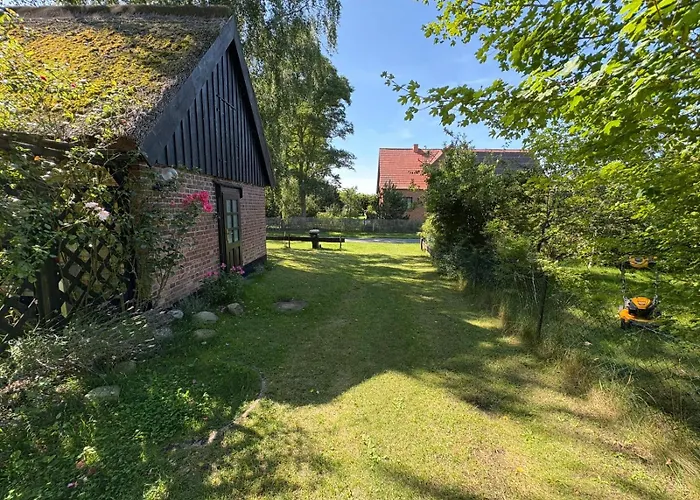 Tipp - Fischerhuus Am Darss - Ostsee Urlaub Gratis Parkplatz, Wlan Fuhlendorf